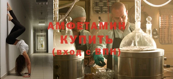 молекула духа Бородино