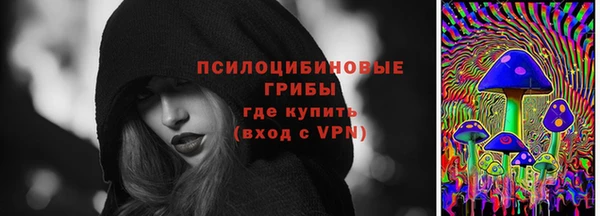 молекула духа Бородино