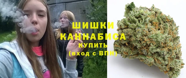 молекула духа Бородино