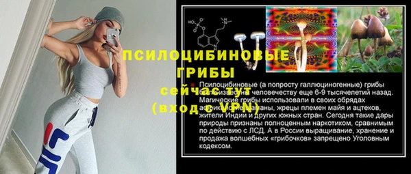 молекула духа Бородино